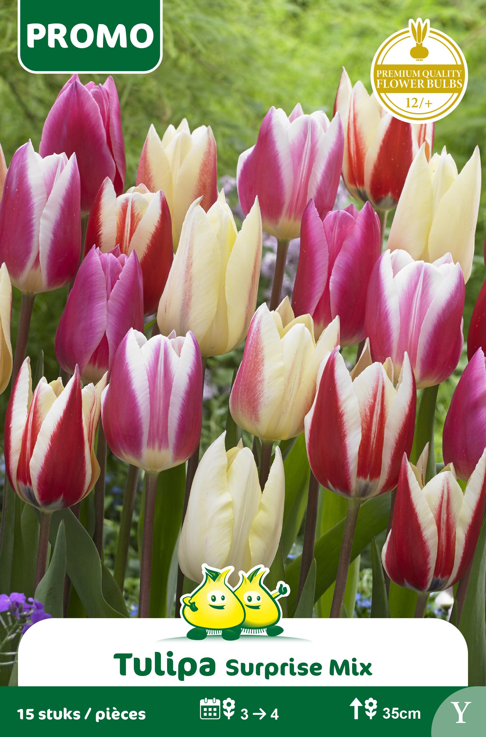 SACHET TULIPES 15 ST SUPRISE MIX