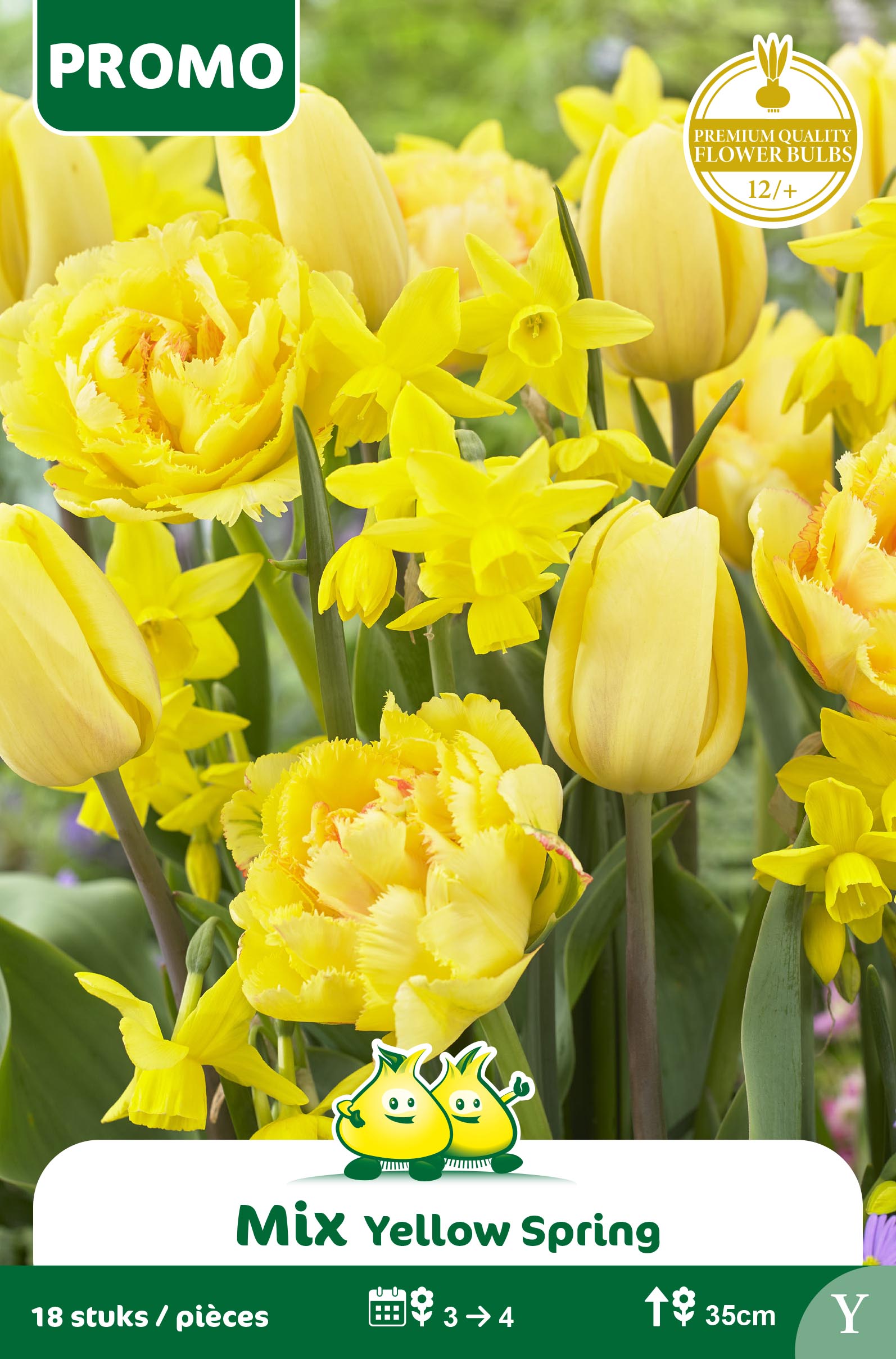SACHET YELLOW SPRING MIX 18