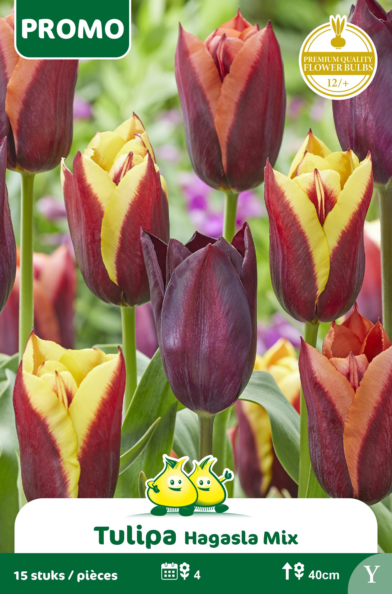 SACHET TULIPE 20 P. HAGASLA MIX Y