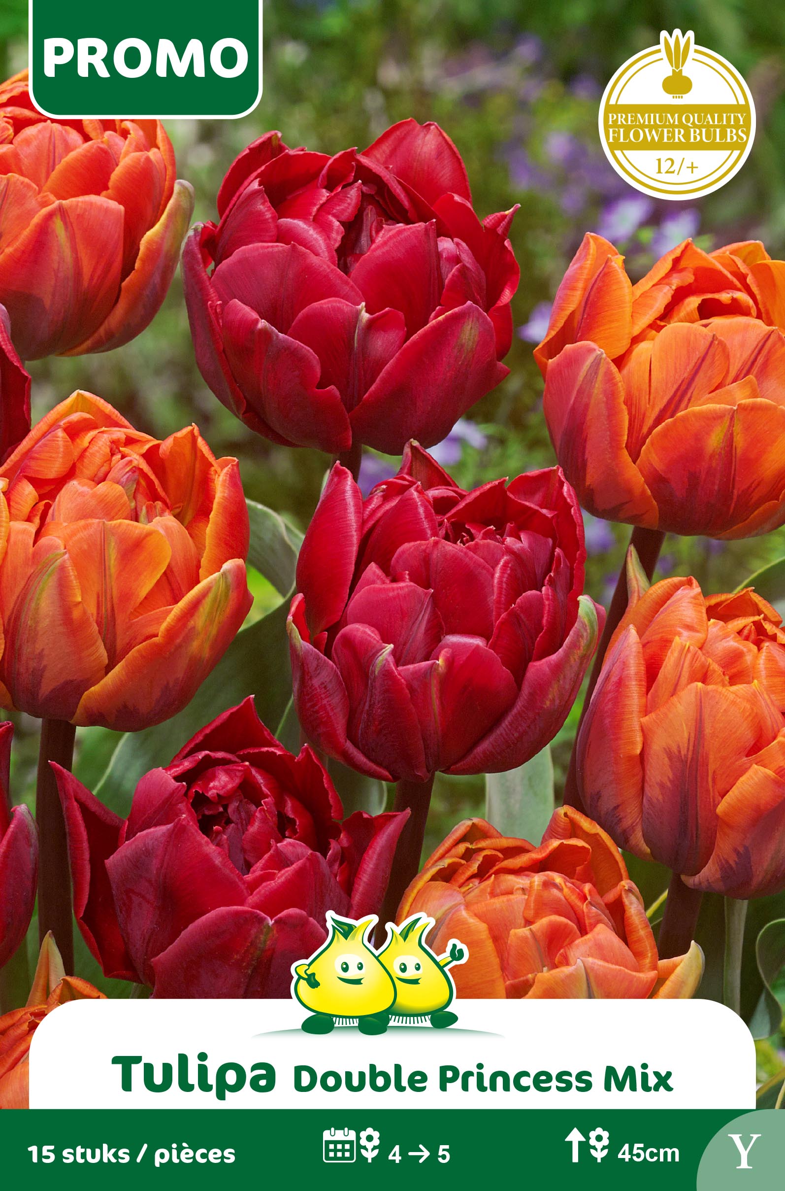 SACHET TULIPE 15 P DOUBLE PRINCESS MIX