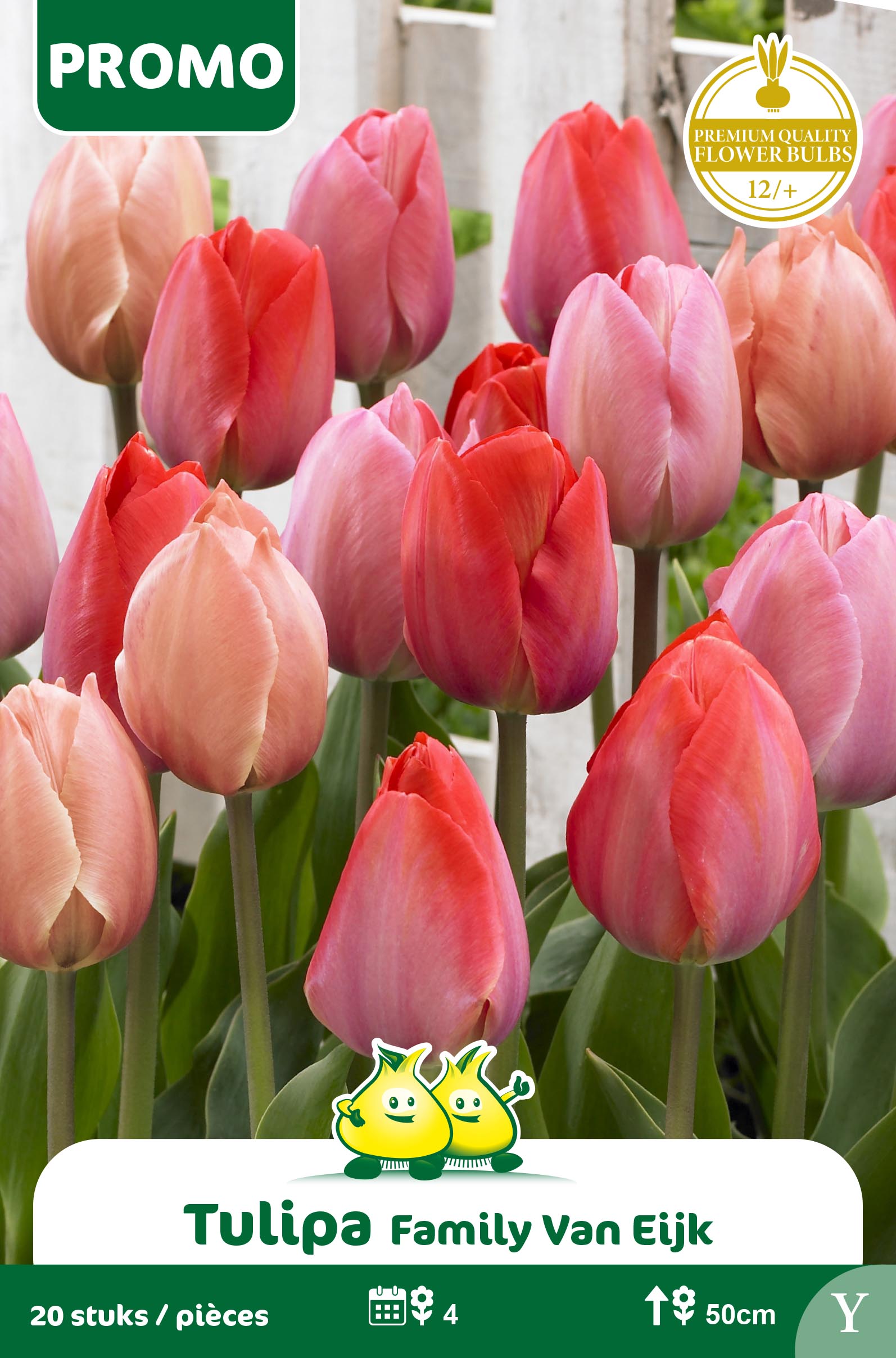 SACHET TULIPE 20 P. VAN EIJK MIX Y