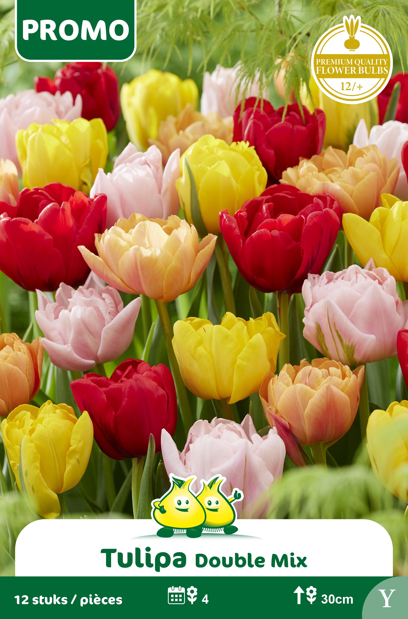 SACHET TULIPE 12 P. DOUBLE MIX