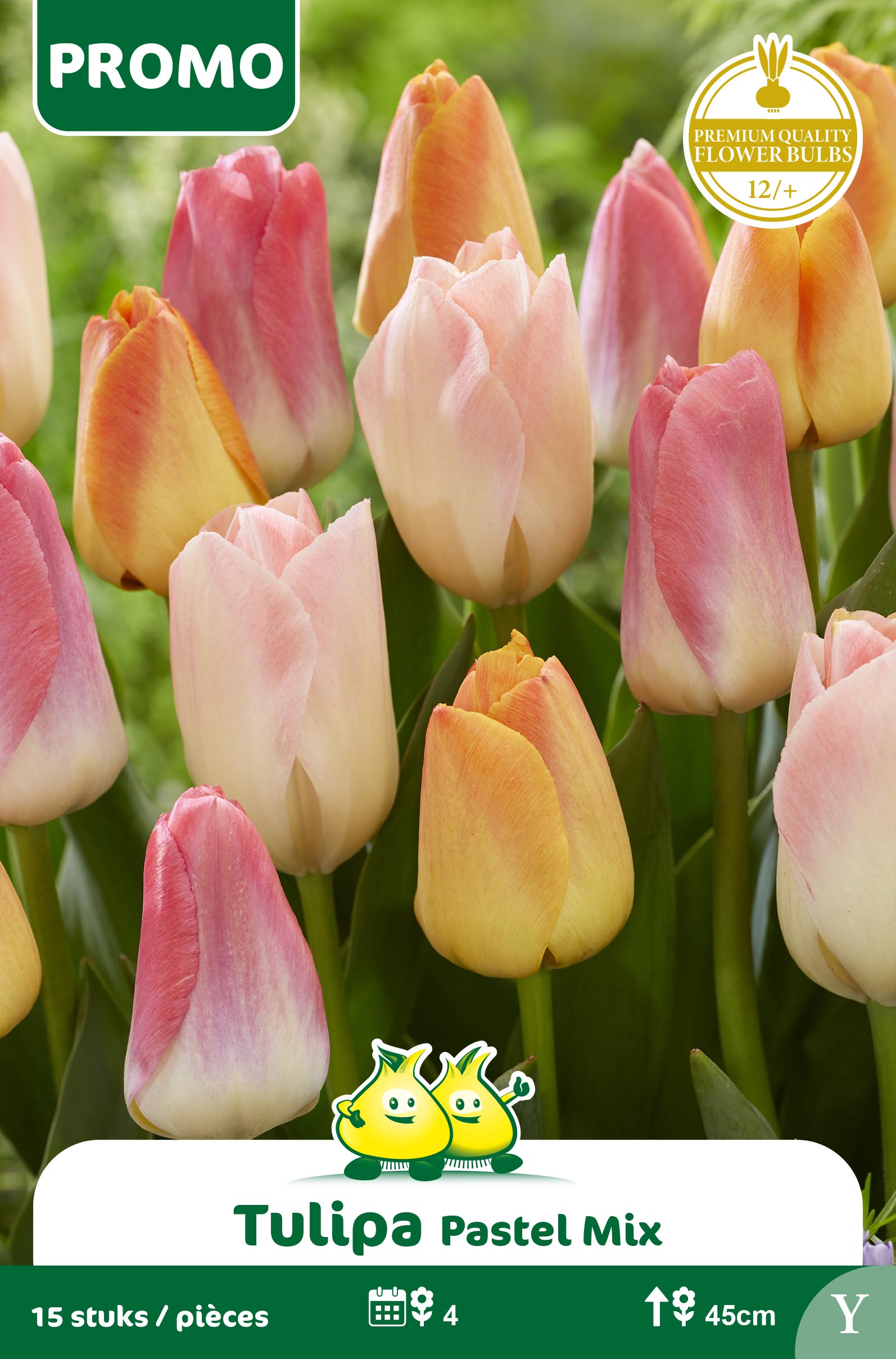 SACHET TULIPE 15 P. PASTEL MIX Y