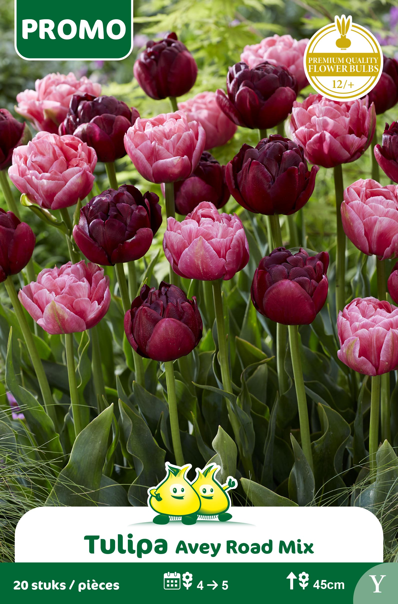 ZAKJES TULPEN MIX AVEY ROAD 12 st Y