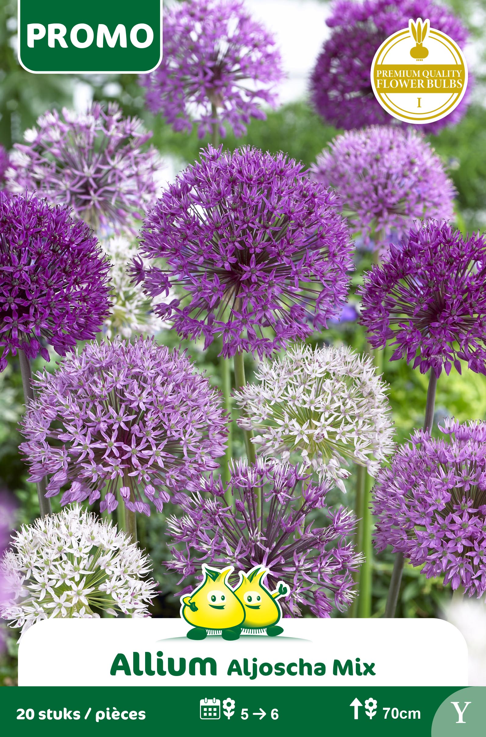 SACHET ALLIUM ALJOSCHA MIX 20 P