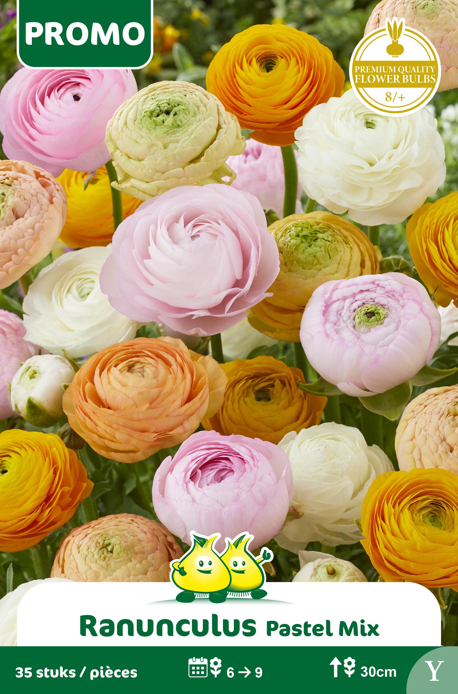 SACHET RANUNCULUS PASTEL MIX 35 P. Y