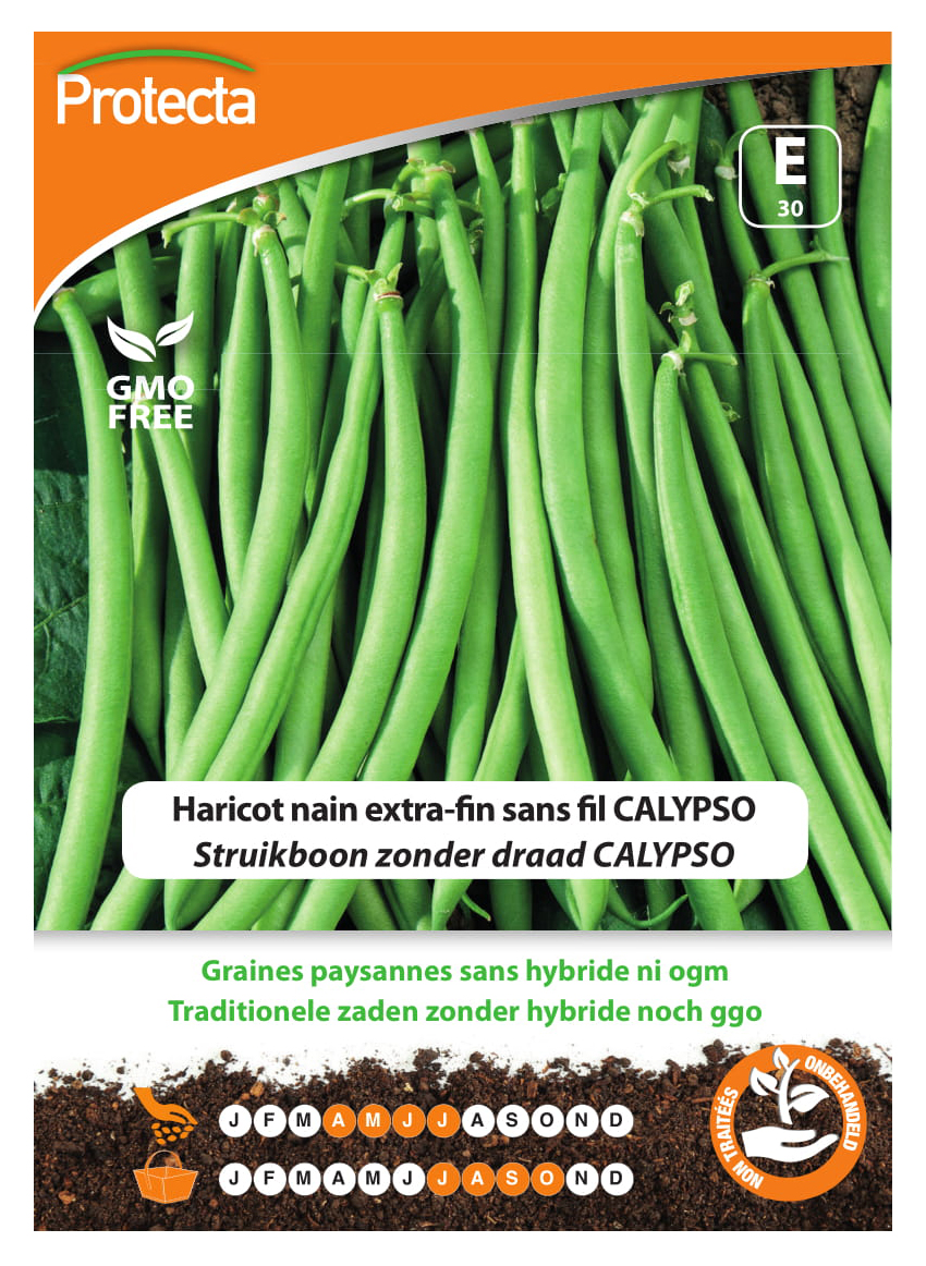 Haricot nain extra-fin sans fil CALYPSO