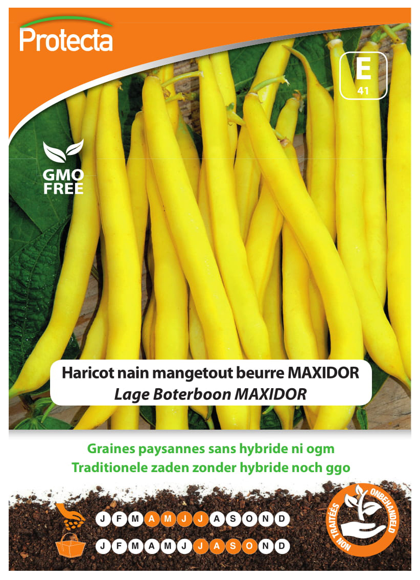 Haricot nain mangetout beurre MAXIDOR