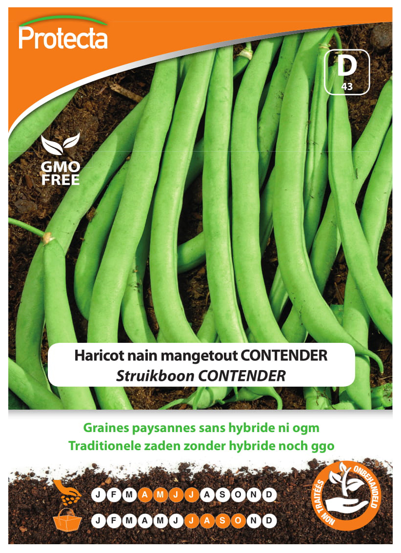 Haricot nain mangetout CONTENDER