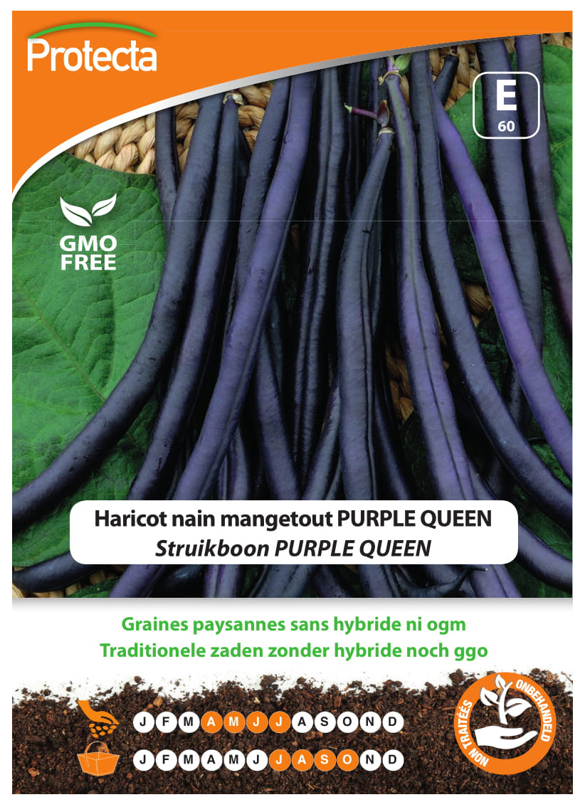 Struikboon PURPLE QUEEN PRO060