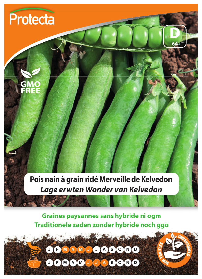 Pois nain Ã  grain ridÃ© Merveille de Kelvedon PRO064