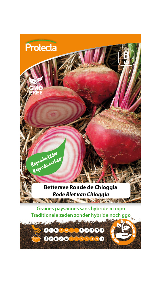 Betterave Ronde de Chioggia