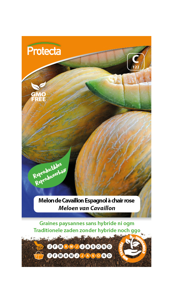 Melon de Cavaillon Espagnol à chair rose PRO122