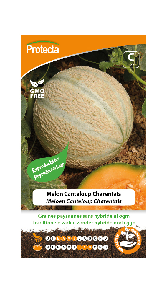 Melon Canteloup Charentais