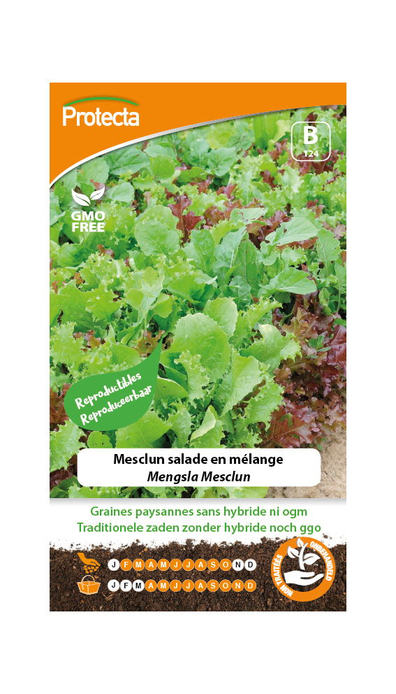 Mesclun salade en m?lange