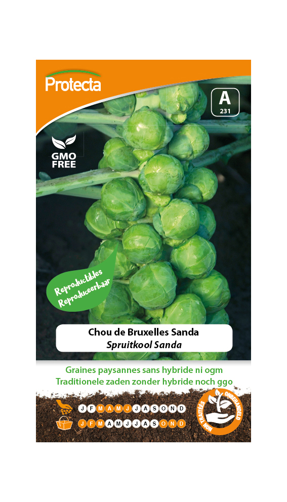 Chou de Bruxelles Sanda PRO231