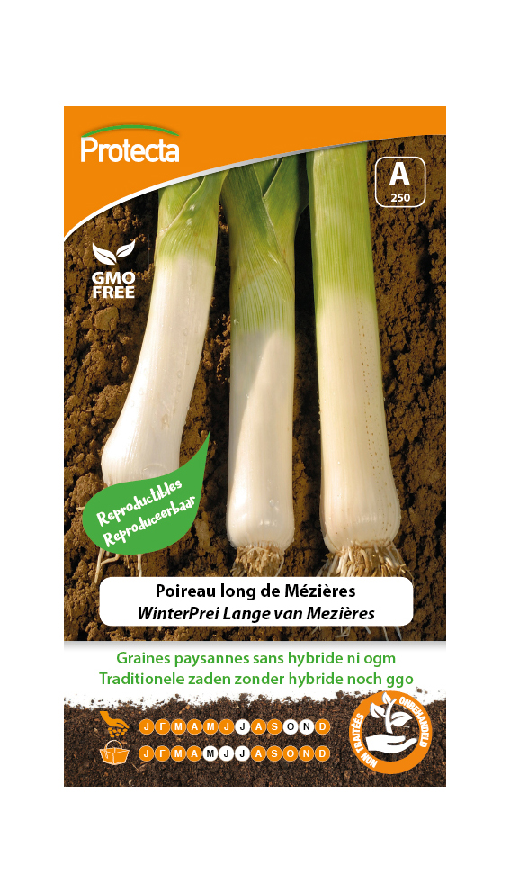 Poireau long de Mézières PRO250