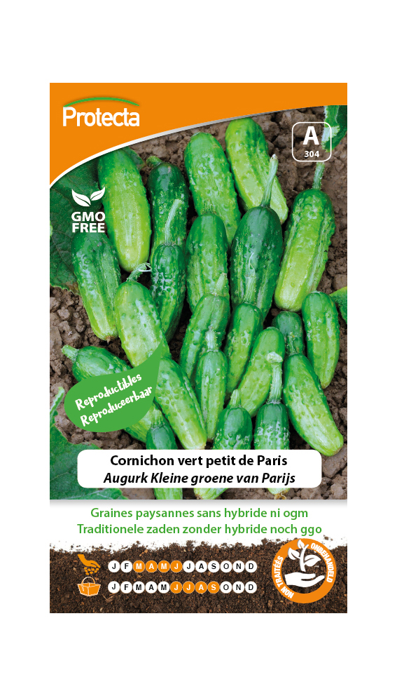 Cornichon vert petit de Paris Koop Bloembollen voor een bloeiende