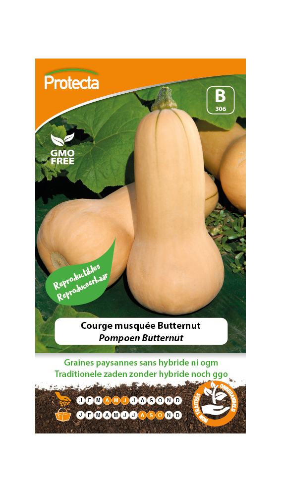 Pompoen Butternut PRO306