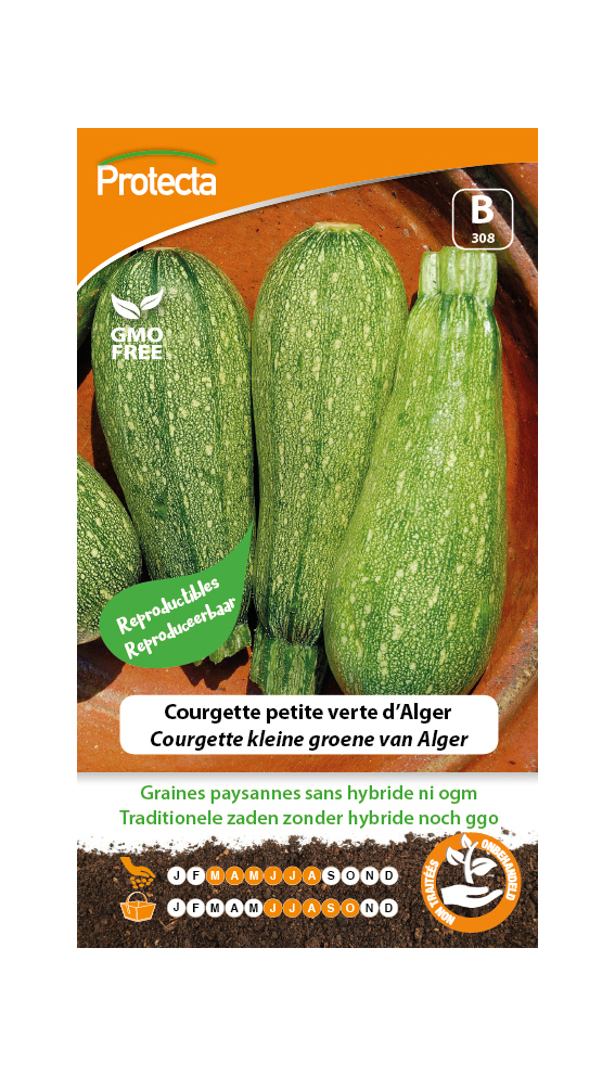 Courgette petite verte d'Alger PRO308