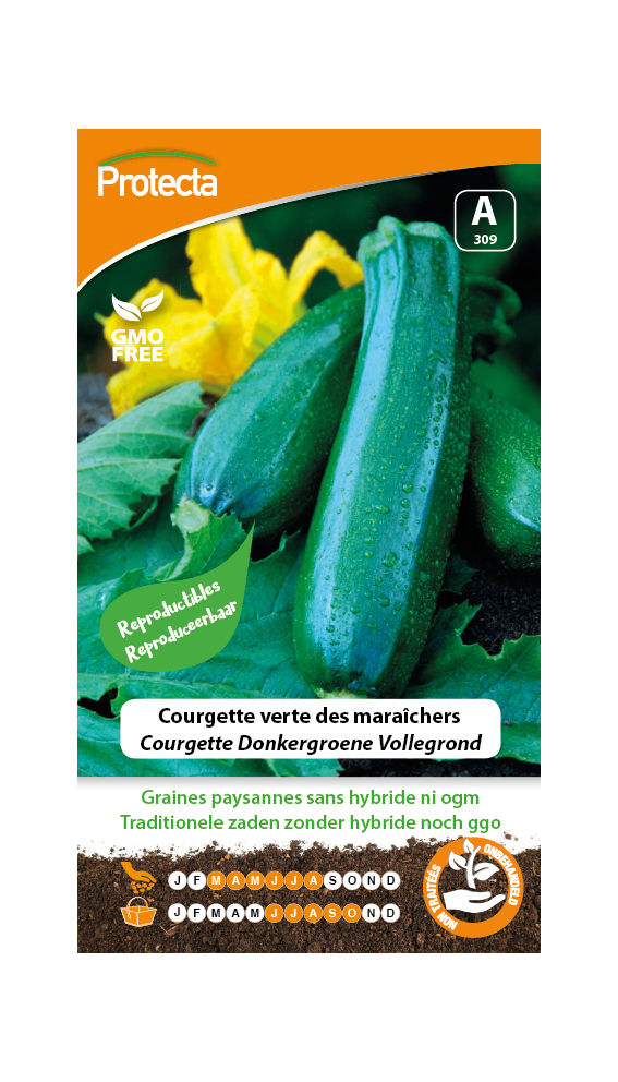 Courgette Donkergroene Vollegrond PRO309