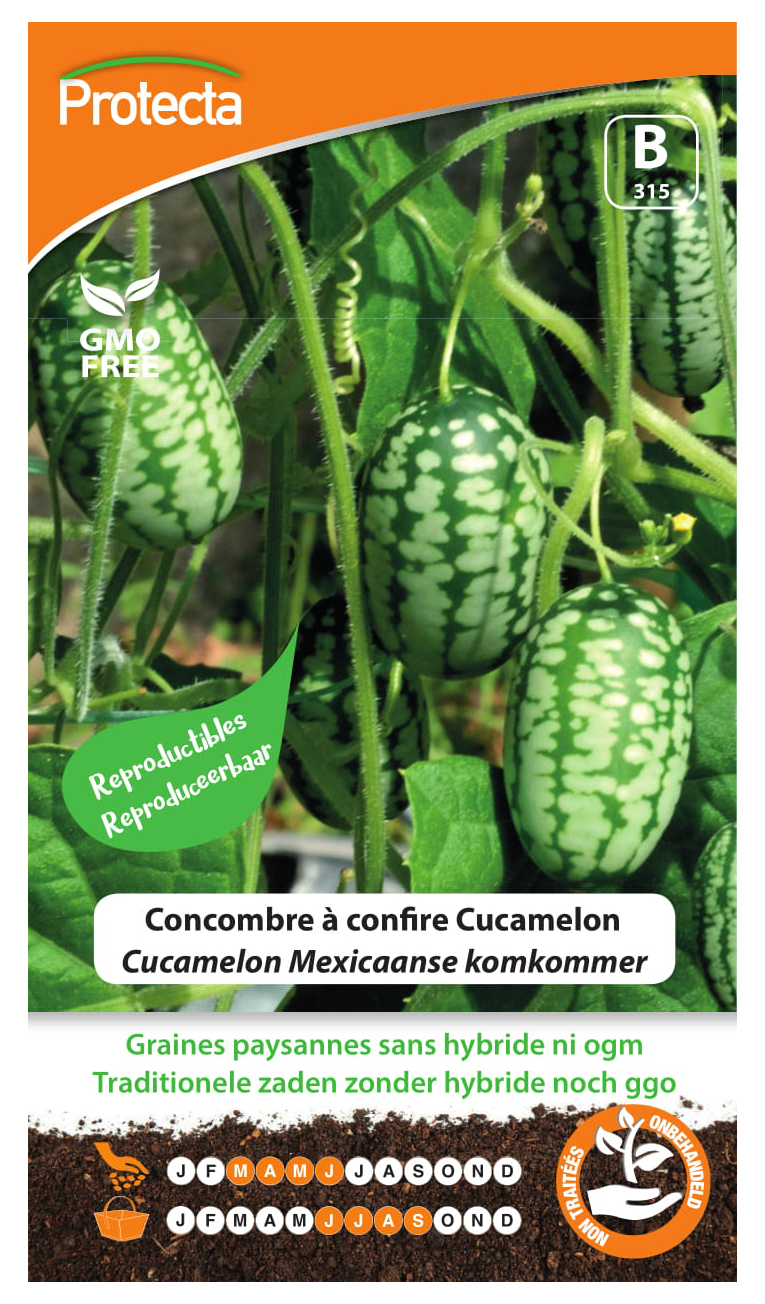 Cucamelon Mexicaanse komkommer PRO315