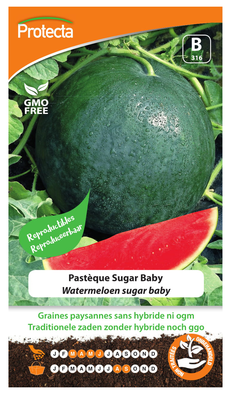 Pastèque Sugar Baby PRO316