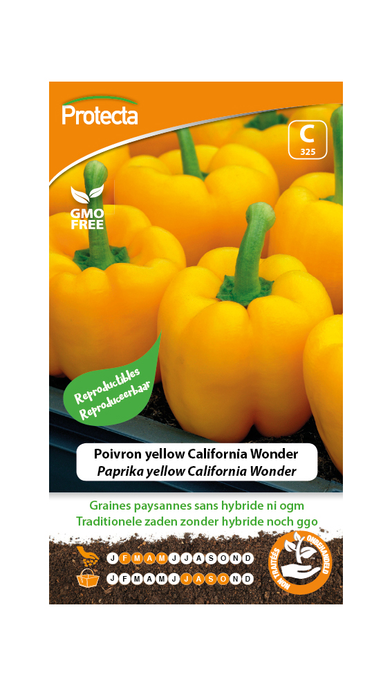 Paprika yellow California Wonder PRO325