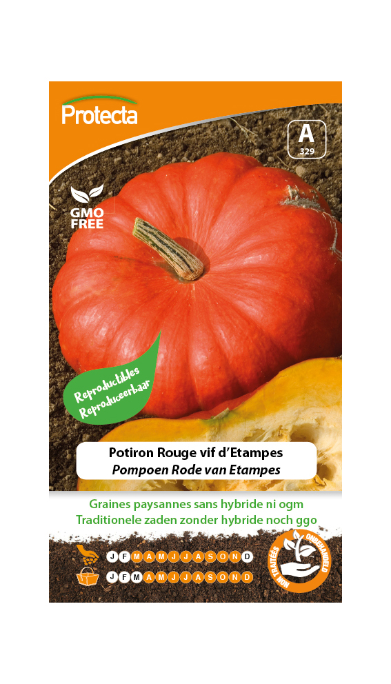 Potiron Rouge vif d'Etampes PRO329