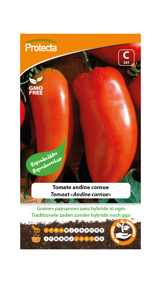 Tomaat 'Andine cornue' PRO341