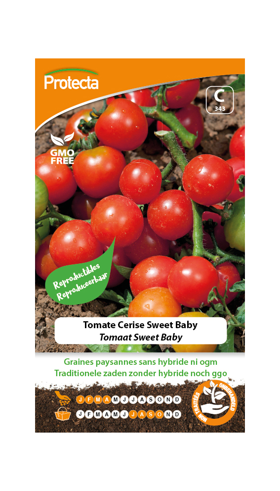 Tomate Cerise Sweet Baby