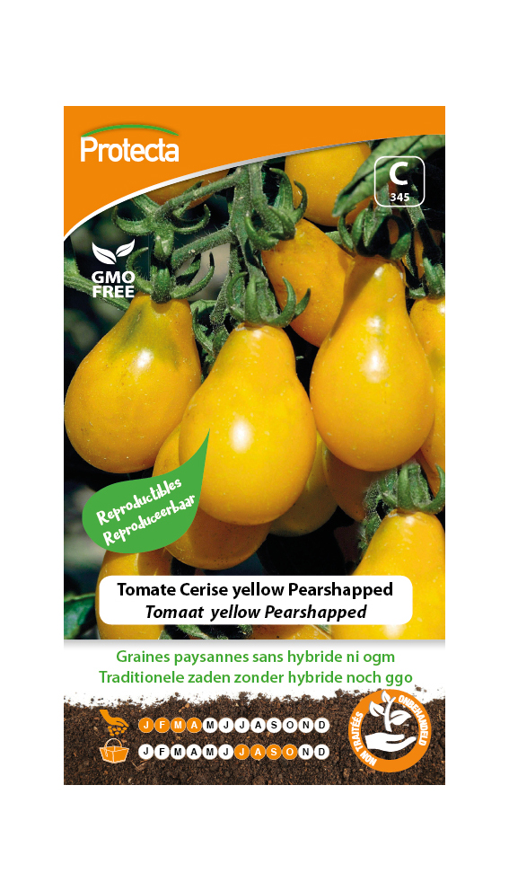Tomate Cerise yellow Pearshapped PRO345