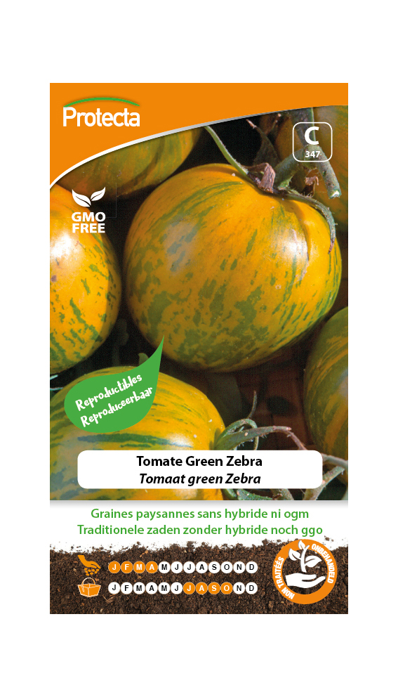 Tomate Green Zebra