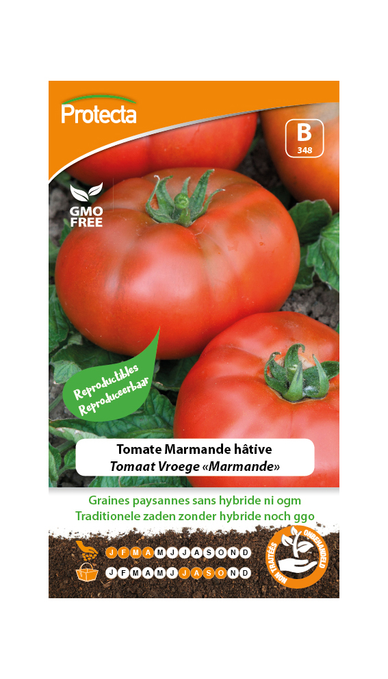 Tomate Marmande h?tive