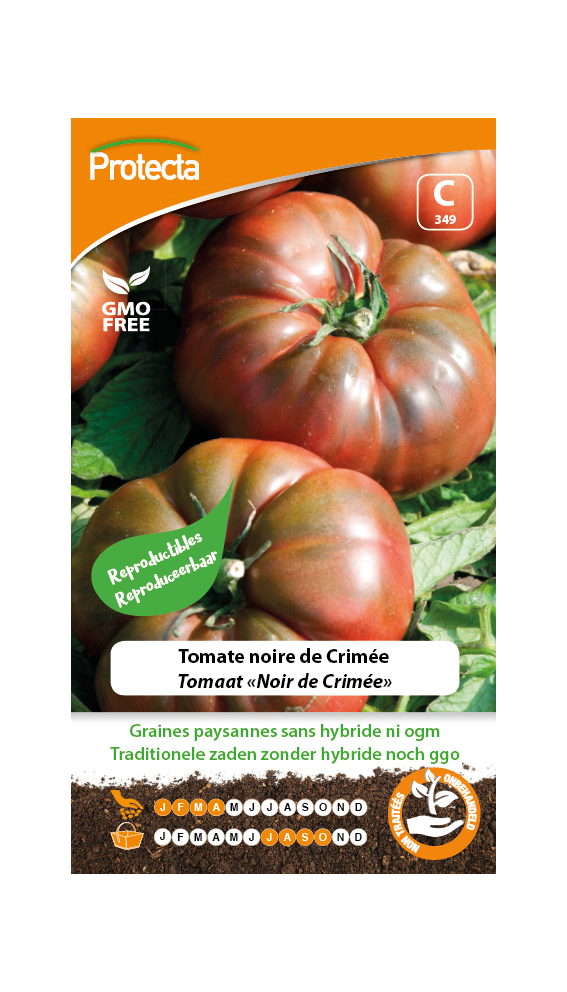 Tomate noire de Crimée pro349