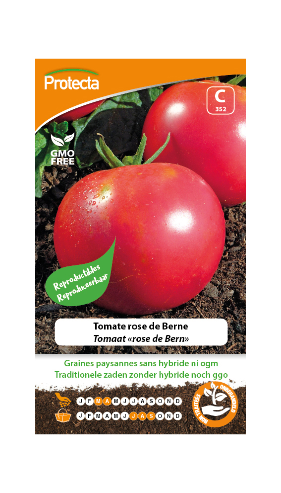Tomaat 'rose de Bern' PRO352