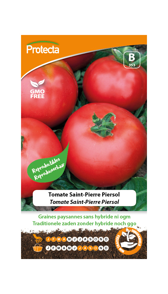 Tomate Saint-Pierre Piersol PRO353