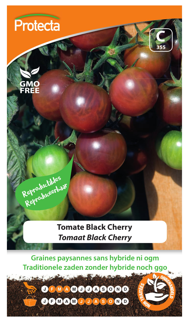 Tomaat Black Cherry PRO355