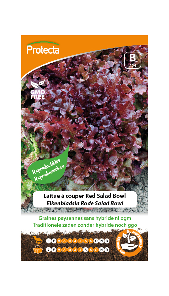 Eikenbladsla Rode Salad Bowl PRO404