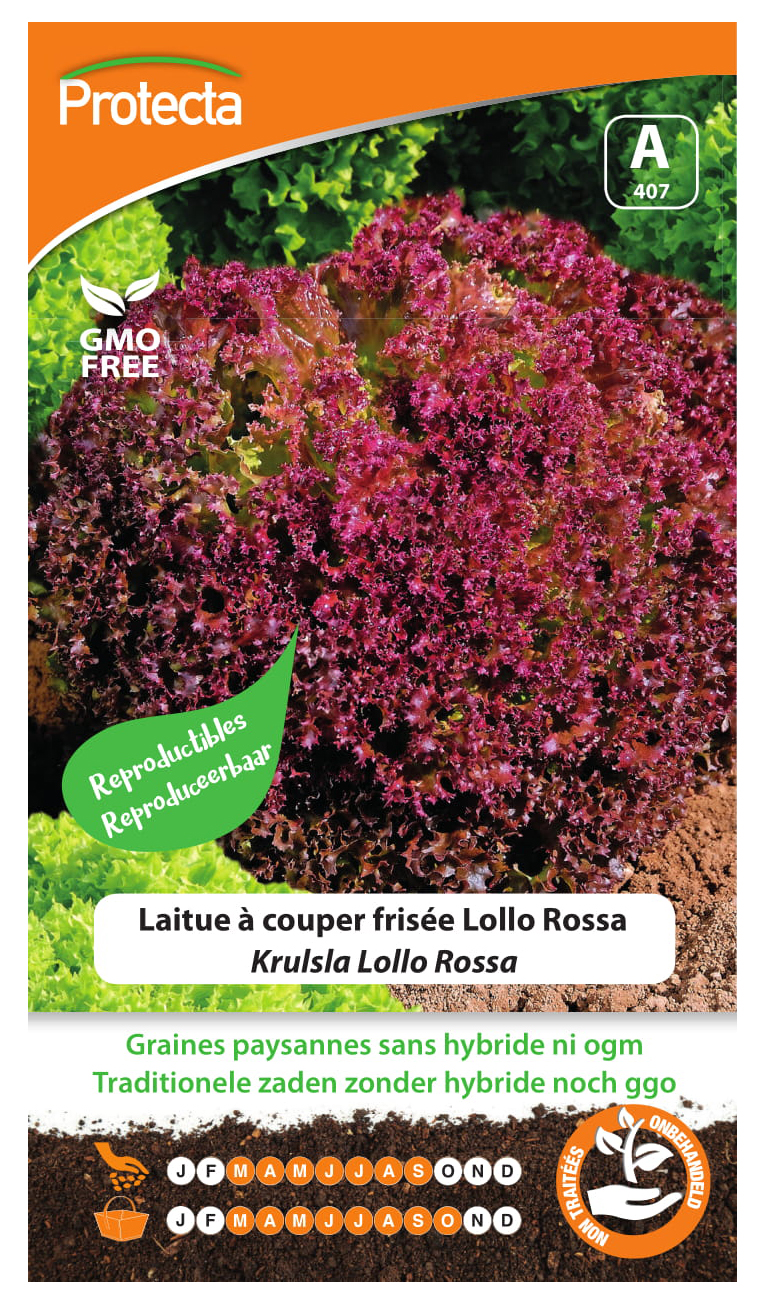 Krulsla Lollo Rossa PRO407