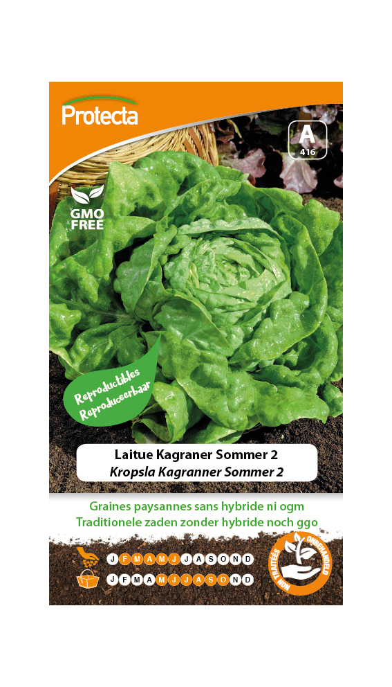 Laitue Kagraner Sommer 2 PRO416