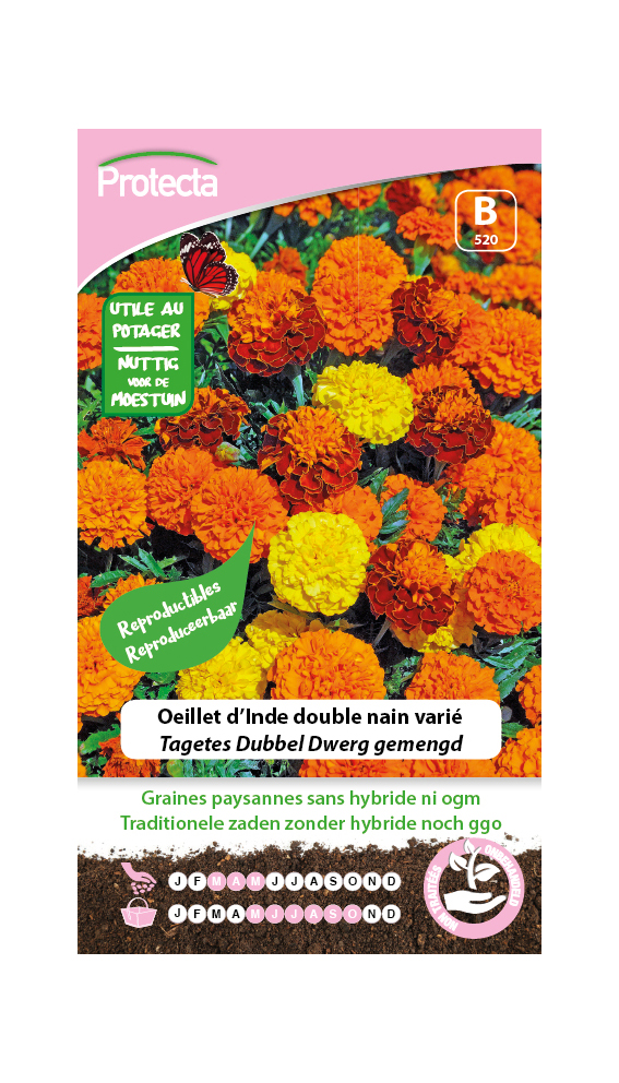 Tagetes Dubbel Dwerg gemengd PRO520