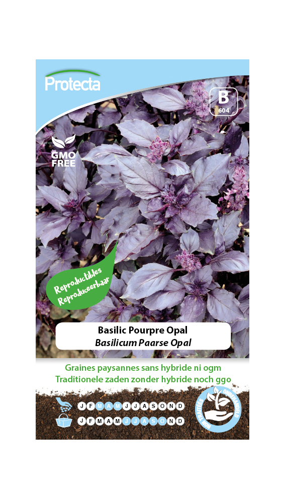Basilicum Paarse Opal PRO604