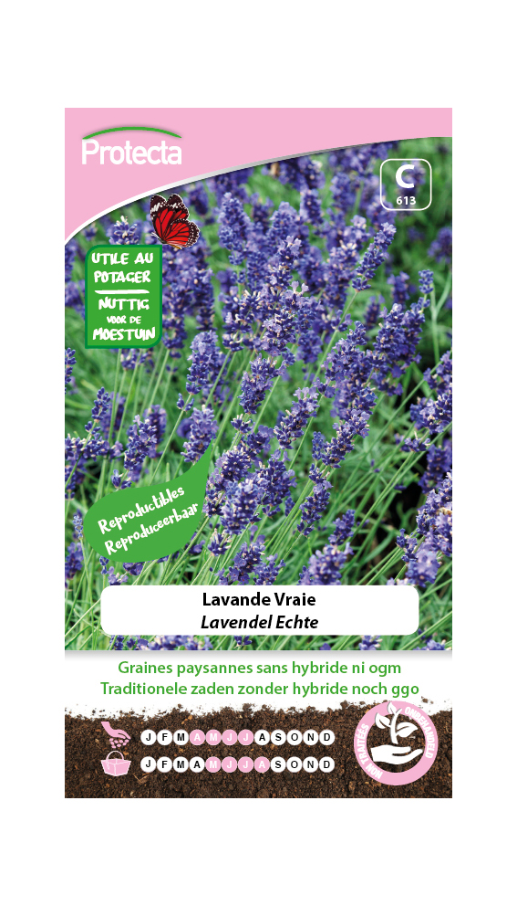 Lavendel Echte PRO613