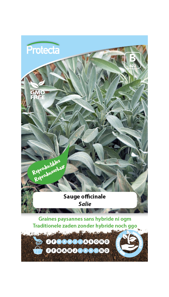 Sauge officinale PRO622