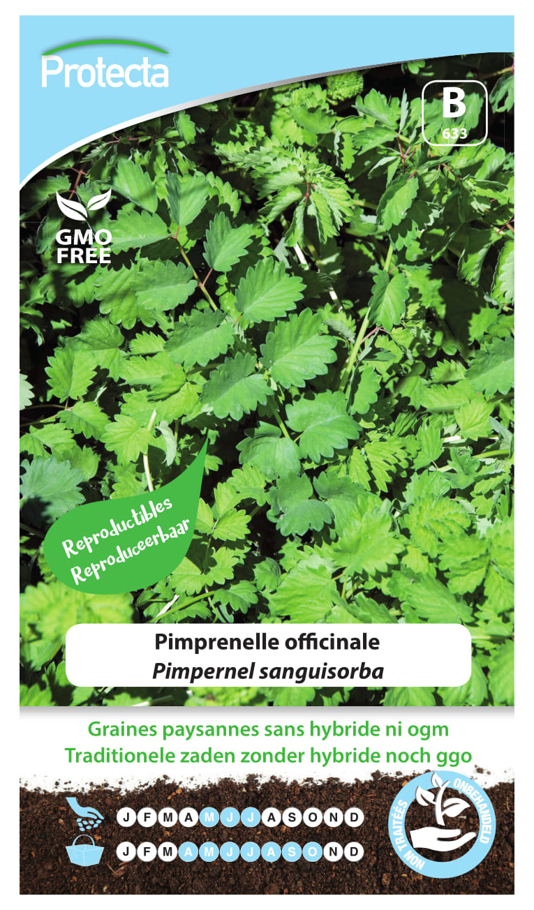 Pimprenelle officinale PRO633