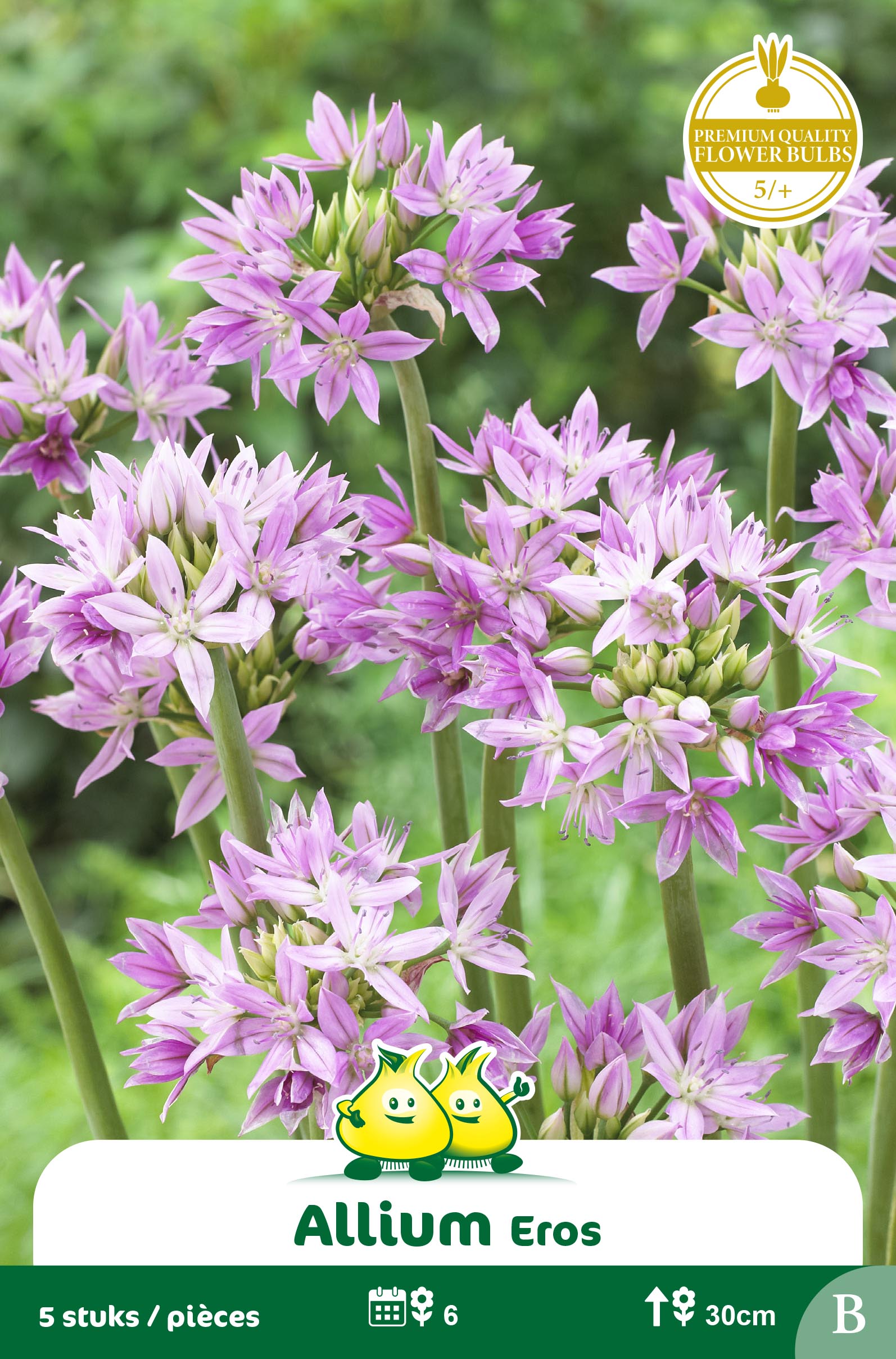 ZAKJES ALLIUM EROS B