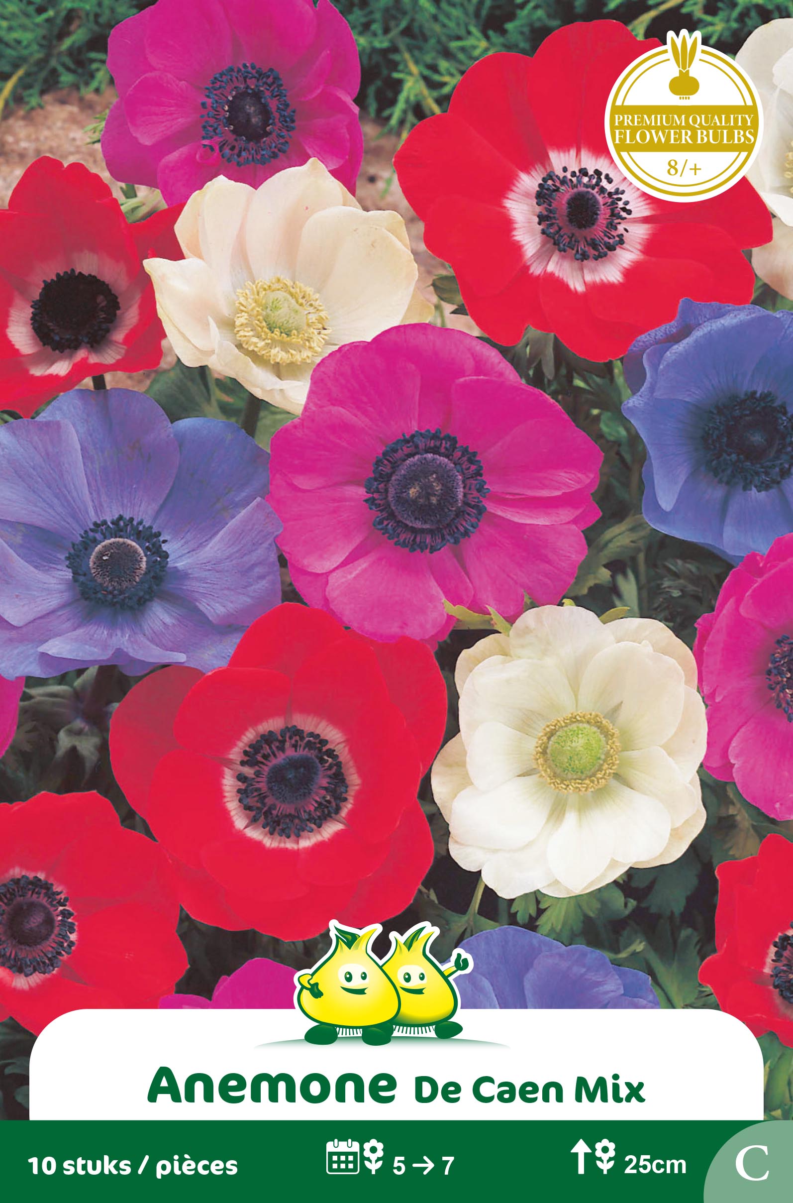 ZAKJES ANEMONE DE CAEN