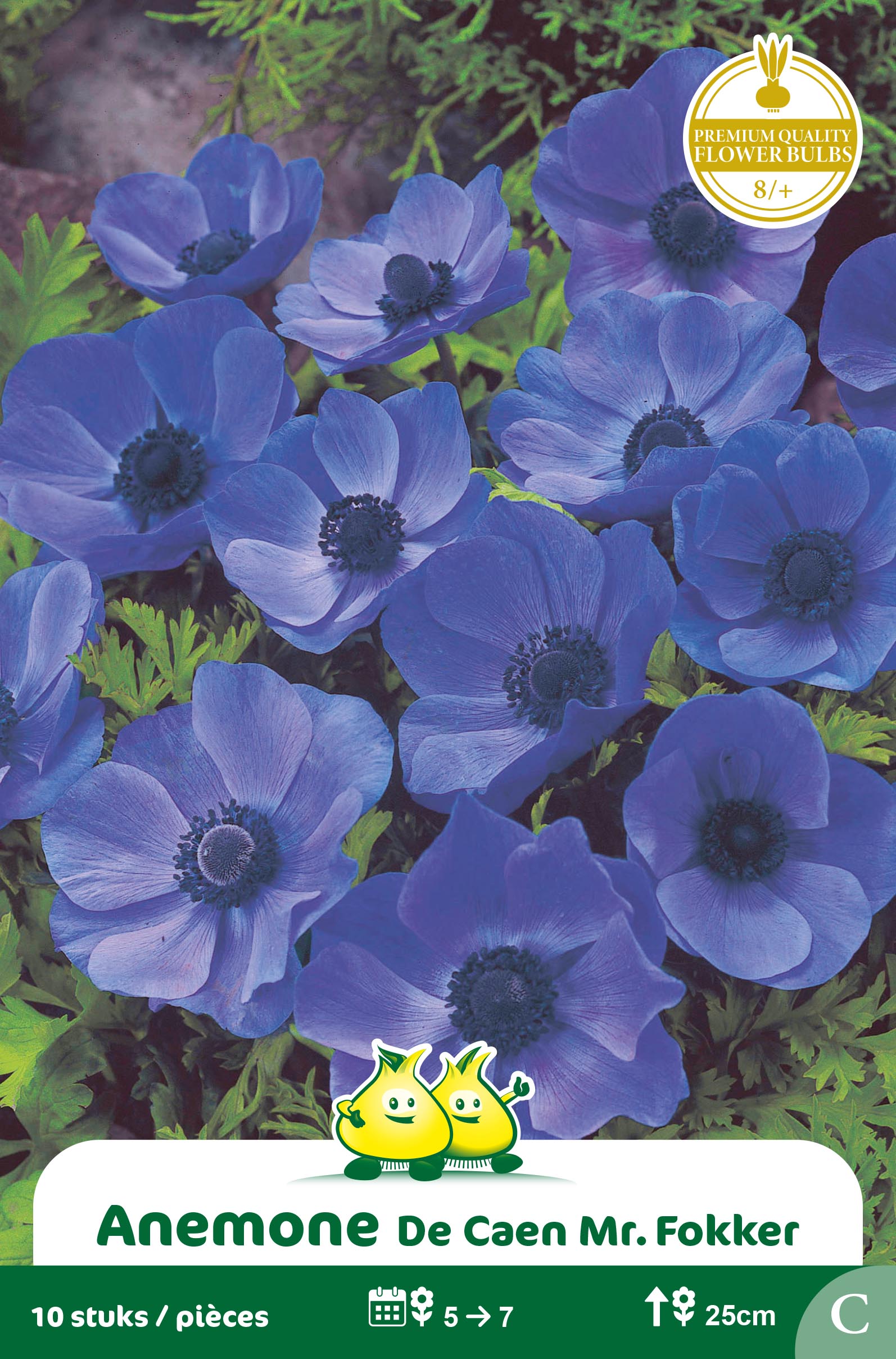 ZAKJES ANEMONE DE CAEN MR FOKKER
