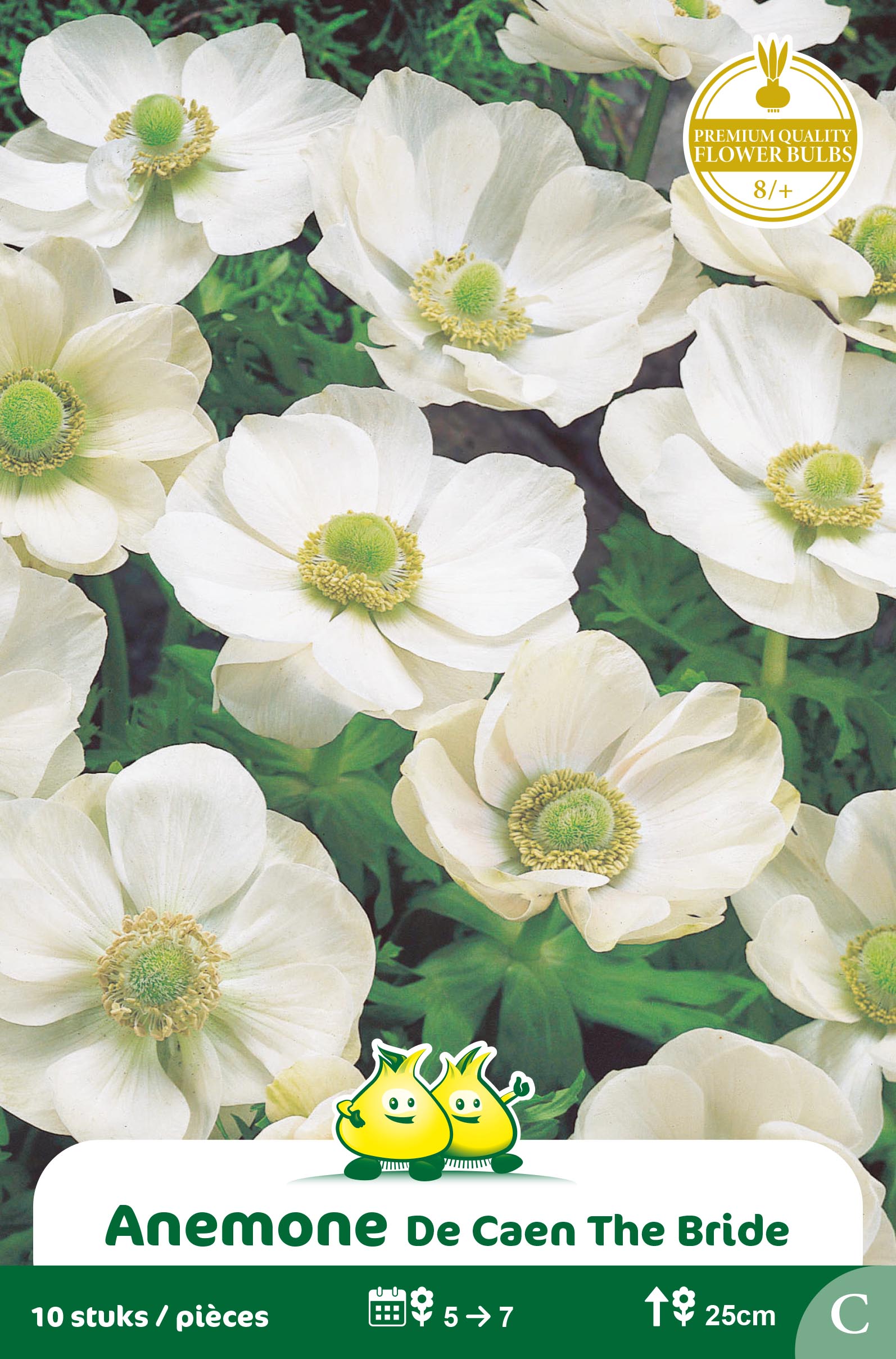 ZAKJES ANEMONE DE CAEN THE BRIDE